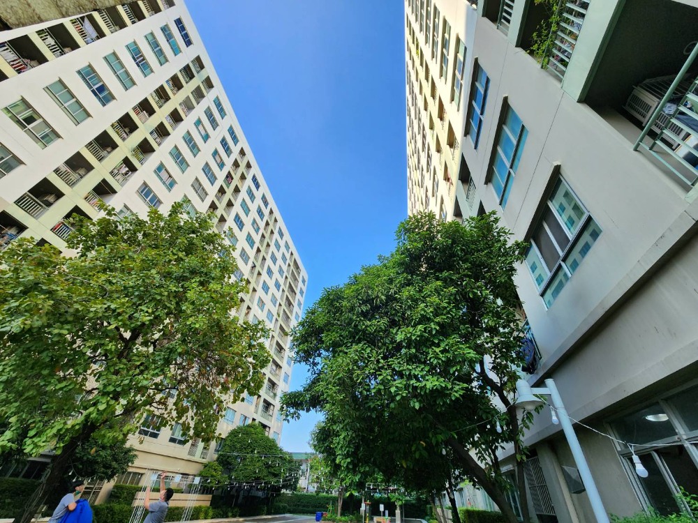 ขายคอนโดพระราม 8 สามเสน ราชวัตร : SNS002 **ลดราคาเหลือ 1.7 ล้าน ขายพร้อมอยู่**ขายถูก ลุมพินี เพลส พระราม 8 ชั้น12A(สูงที่สุดในอาคาร) ห้องบิวด์อินมีที่เก็บของเยอะ 35 ตารางเมตร ++ซื้ออยู่เองก็ได้ ซื้อลงทุนก็คุ้มมีผู้เช่าตลอด++