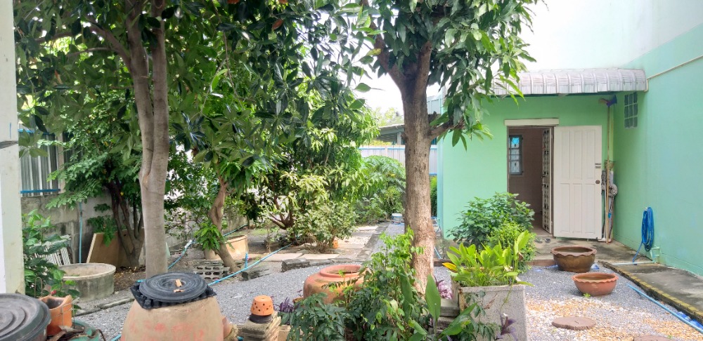 ขายบ้านนครปฐม : ขายบ้านเดี่ยว 178  ตารางวา 2  ชั้น  (สร้างเอง)  ไผ่หูช้าง  บางเลน  นครปฐม73130