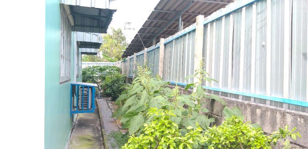 ขายบ้านนครปฐม : ขายบ้านเดี่ยว 178  ตารางวา 2  ชั้น  (สร้างเอง)  ไผ่หูช้าง  บางเลน  นครปฐม73130