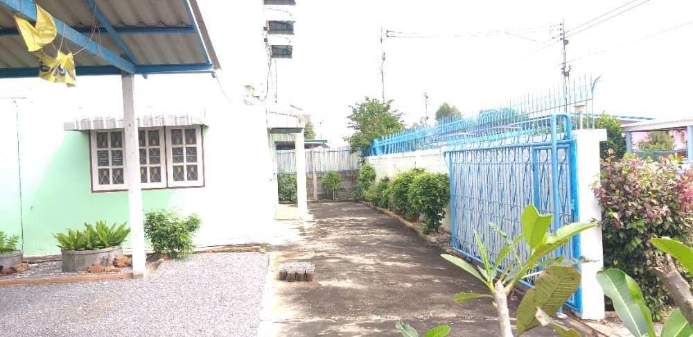 ขายบ้านนครปฐม : ขายบ้านเดี่ยว 178  ตารางวา 2  ชั้น  (สร้างเอง)  ไผ่หูช้าง  บางเลน  นครปฐม73130