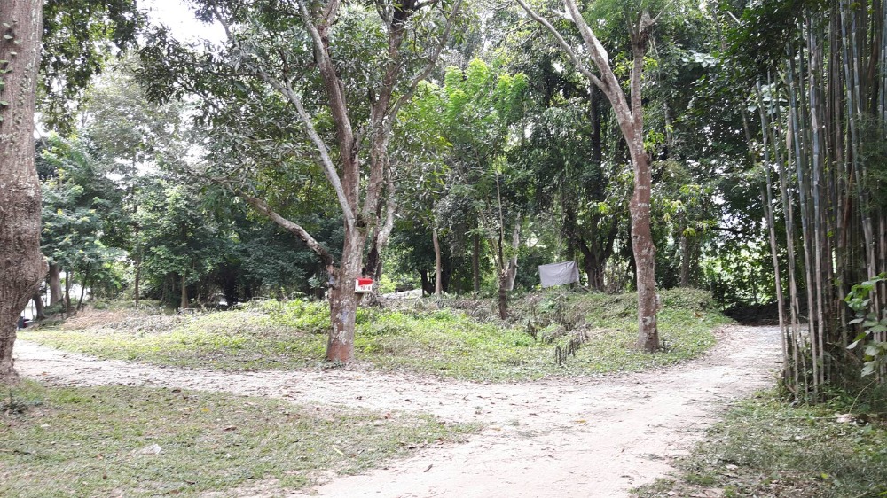 ให้เช่าที่ดินเชียงใหม่ : ให้เช่า ที่ดินใกล้ ม.ราชมงคลล้านนา มช. ซอยพระนาง