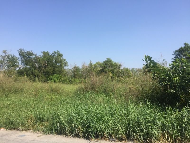 ขายที่ดินมีนบุรี-ร่มเกล้า : ขายที่ดิน มีนบุรี วัดสุขใจ 4 ถนนนิมิตรใหม่ แขวงทรายกองดิน เนื้อที่ 385 ตร.วา 12.32 ลบ.