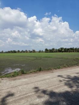 ขายที่ดินปทุมธานี รังสิต ธรรมศาสตร์ : ขายที่ดิน สามโคก ปทุมธานี  เนื้อที่ 22-3-97 ไร่ หน้ากว้าง 88 ม. ลึก 406 ม. ถนนหน้าที่ดินกว้าง 5 เมตร รวมราคา  27.0 ลบ.