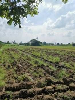 ขายที่ดินปทุมธานี รังสิต ธรรมศาสตร์ : ขายที่ดิน สามโคก ปทุมธานี  เนื้อที่ 22-3-97 ไร่ หน้ากว้าง 88 ม. ลึก 406 ม. ถนนหน้าที่ดินกว้าง 5 เมตร รวมราคา  27.0 ลบ.