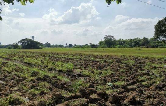 ขายที่ดินปทุมธานี รังสิต ธรรมศาสตร์ : ขายที่ดิน สามโคก ปทุมธานี  เนื้อที่ 22-3-97 ไร่ หน้ากว้าง 88 ม. ลึก 406 ม. ถนนหน้าที่ดินกว้าง 5 เมตร รวมราคา  27.0 ลบ.