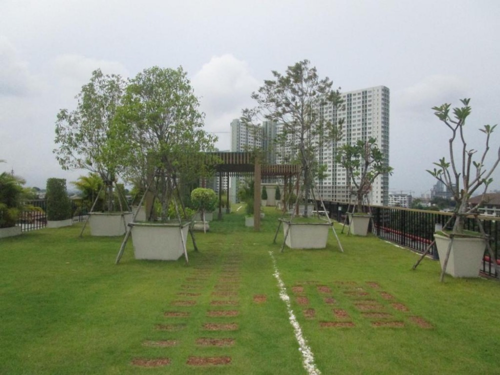 ให้เช่าคอนโดพัทยา บางแสน ชลบุรี สัตหีบ : คอนโดพัทยาให้เช่า ซิตี้ การ์เด้นท์ ทรอปิคาน่า Pool  Access คอนโดพัทยาเหนือ หาดวงศ์อมาตย์ 1ฺ Bed 32.98 ตร.ม. ตกแต่งพร้อมอยู่ ค่าเช่าเดือนละ 13,000 บาท