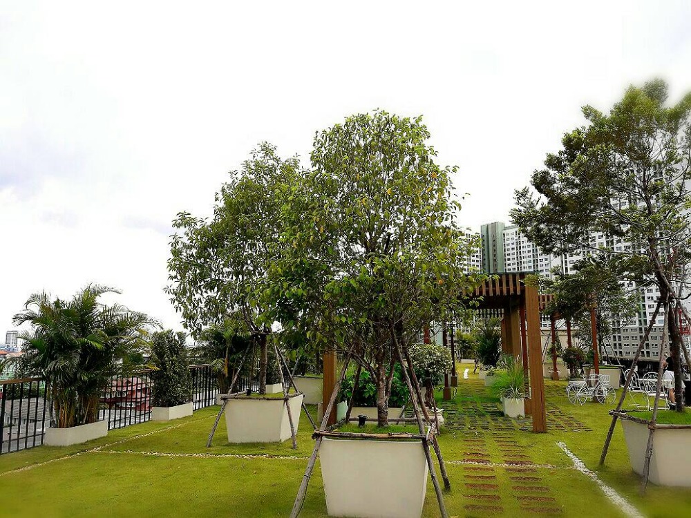 ให้เช่าคอนโดพัทยา บางแสน ชลบุรี สัตหีบ : คอนโดพัทยาให้เช่า ซิตี้ การ์เด้นท์ ทรอปิคาน่า Pool  Access คอนโดพัทยาเหนือ หาดวงศ์อมาตย์ 1ฺ Bed 32.98 ตร.ม. ตกแต่งพร้อมอยู่ ค่าเช่าเดือนละ 13,000 บาท