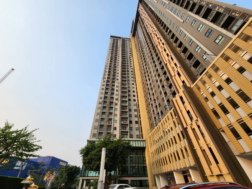 ขายคอนโดนนทบุรี บางใหญ่ บางบัวทอง : SNS024 **ห้องจริงครับ**ขาย พลัม คอนโด เซนทรัล สเตชั่น เฟส 1 ห้องแต่งสวยที่สุดดีที่สุดในโครงการ