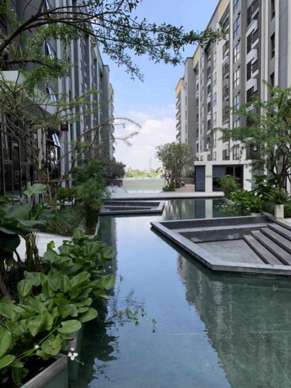 For RentCondoRattanathibet, Sanambinna : The Politant Breeze two bedroom,two bath room face South with swimming pool and Riverview