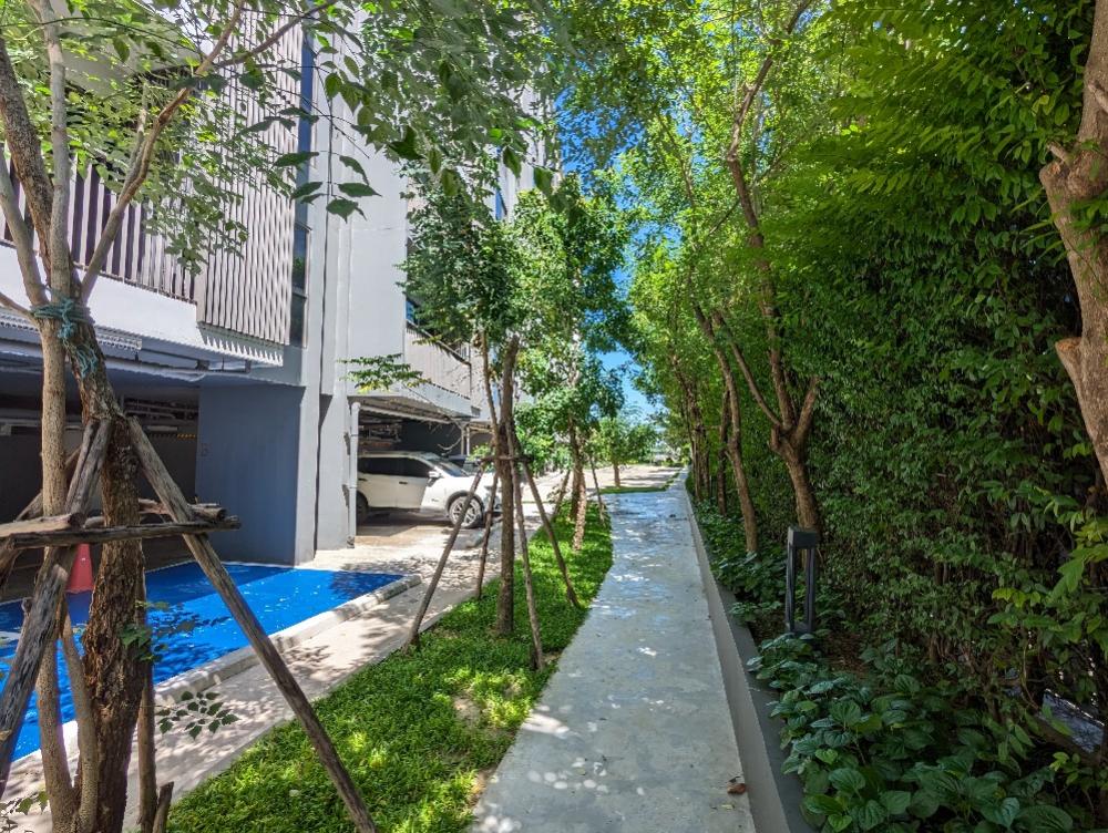 For RentCondoRattanathibet, Sanambinna : The Politant Breeze two bedroom,two bath room face South with swimming pool and Riverview