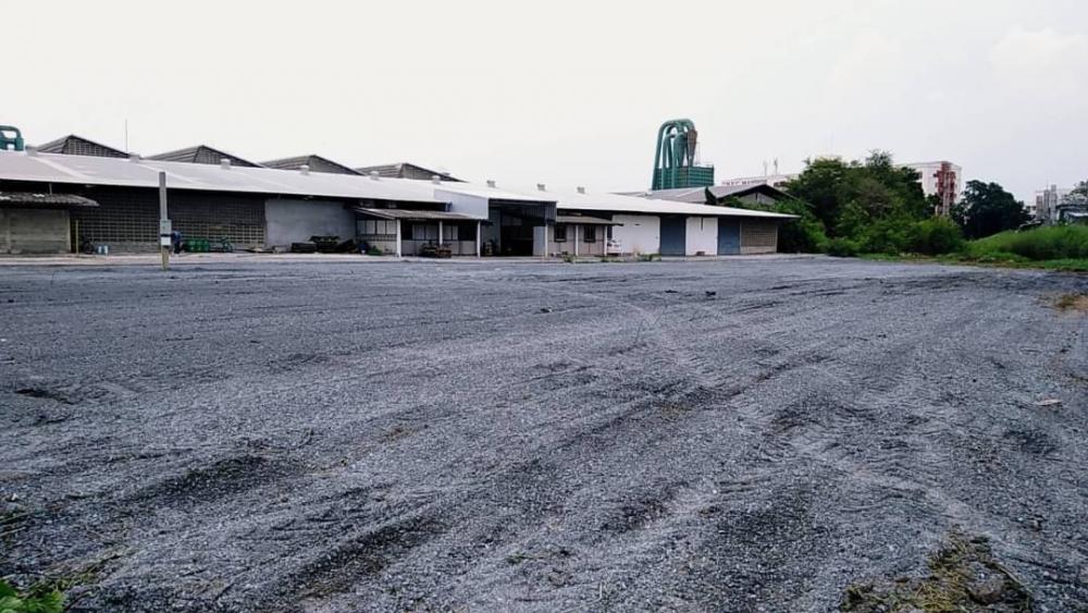 For RentLandChachoengsao : Road frontage land  for Rent near industrial estate and International Airport | Bangna-Trad road frontage land