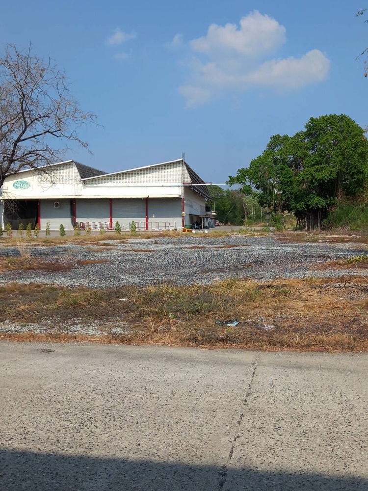 For RentLandChachoengsao : Road frontage land  for Rent near industrial estate and International Airport | Bangna-Trad road frontage land