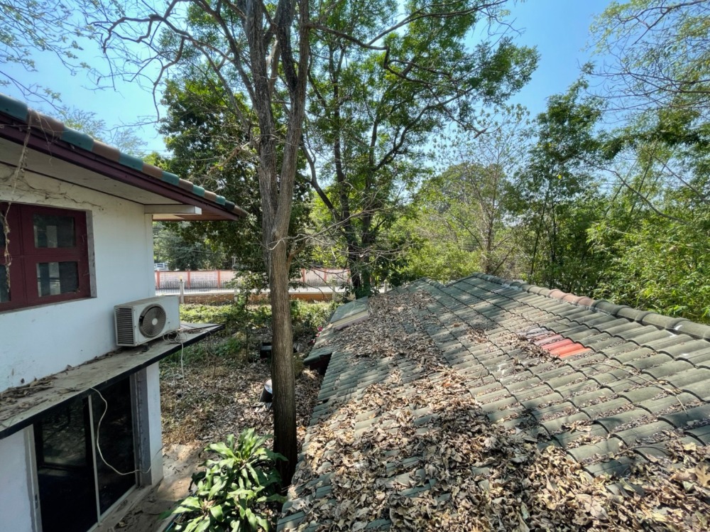 For SaleLandPak Chong KhaoYai : Land for sale in Pak Chong with 3 houses next to Lam Ta Khong, area 250 sq.wa., good location, next to Saphan Dam community road, very cheap price.