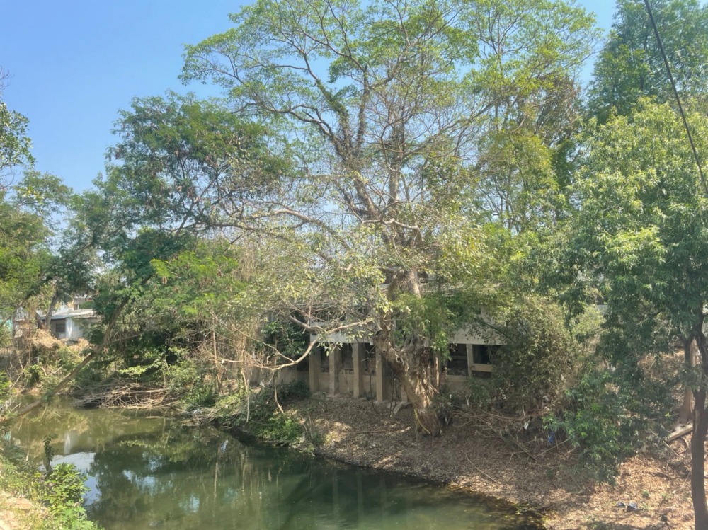 For SaleLandPak Chong KhaoYai : Land for sale in Pak Chong with 3 houses next to Lam Ta Khong, area 250 sq.wa., good location, next to Saphan Dam community road, very cheap price.