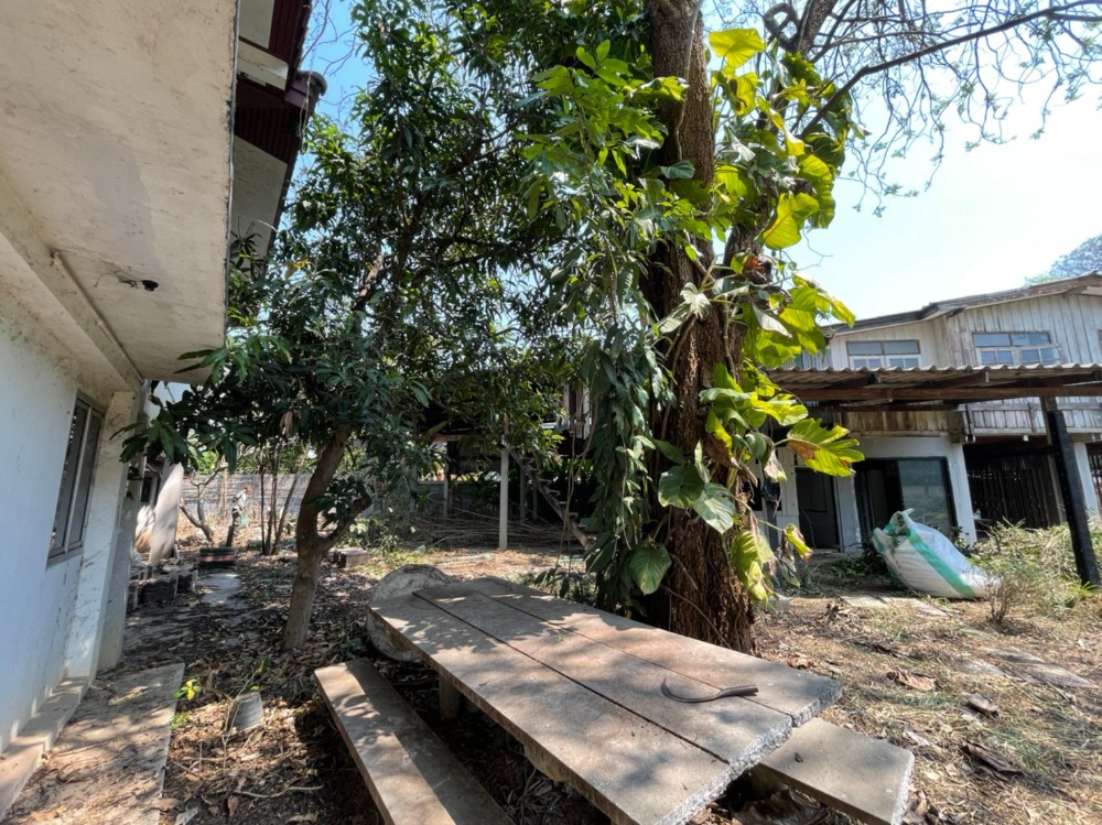 For SaleLandPak Chong KhaoYai : Land for sale in Pak Chong with 3 houses next to Lam Ta Khong, area 250 sq.wa., good location, next to Saphan Dam community road, very cheap price.