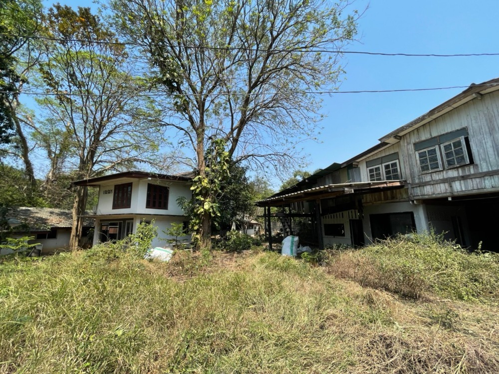 For SaleLandPak Chong KhaoYai : Land for sale in Pak Chong with 3 houses next to Lam Ta Khong, area 250 sq.wa., good location, next to Saphan Dam community road, very cheap price.