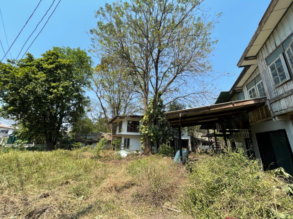 For SaleLandPak Chong KhaoYai : Land for sale in Pak Chong with 3 houses next to Lam Ta Khong, area 250 sq.wa., good location, next to Saphan Dam community road, very cheap price.