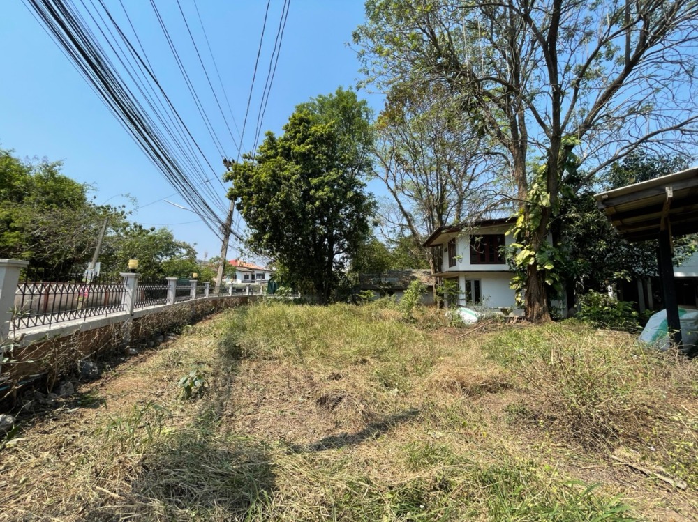 For SaleLandPak Chong KhaoYai : Land for sale in Pak Chong with 3 houses next to Lam Ta Khong, area 250 sq.wa., good location, next to Saphan Dam community road, very cheap price.