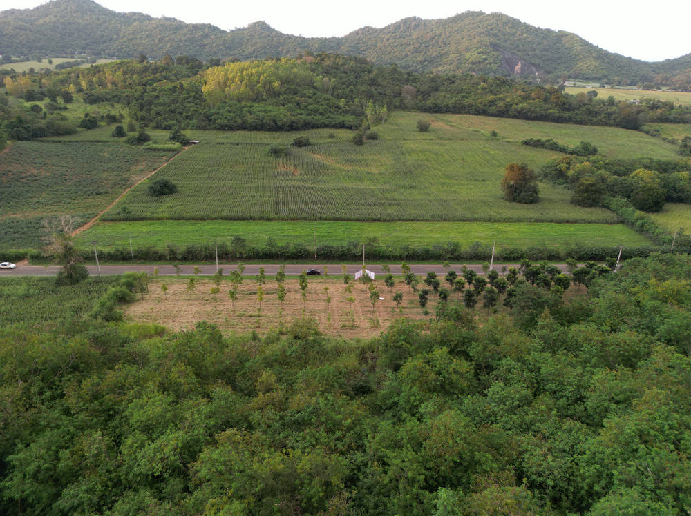 For SaleLandPak Chong KhaoYai : For inquiries, call: 099-159-2604 Land for sale in Khao Yai, Thanarat Road, km 9, just 550 meters from Thanarat Road, next to the mountain, convenient travel, title deed Nor Sor 4 ready to transfer, owner sells directly.