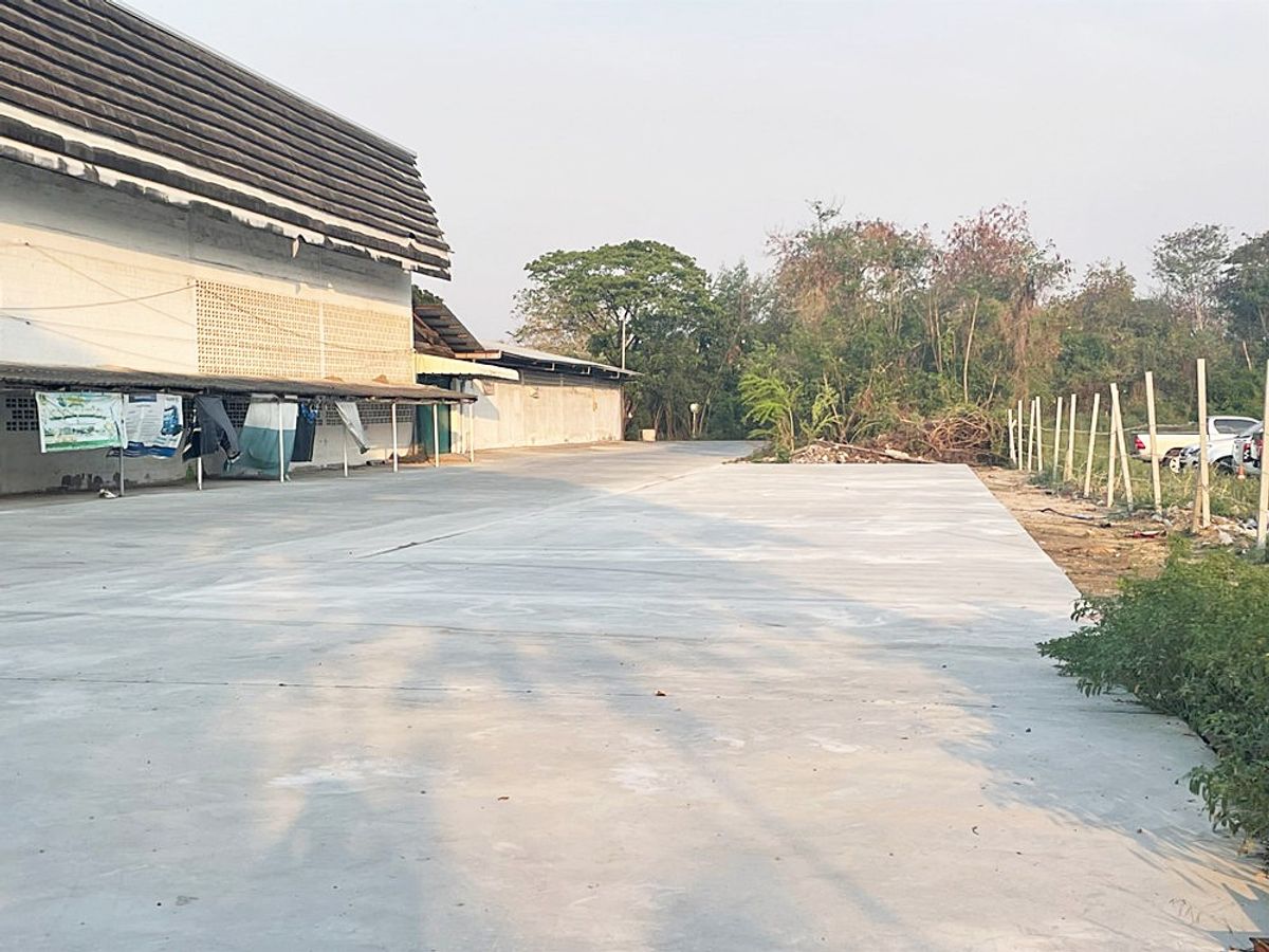 ให้เช่าที่ดินฉะเชิงเทรา : สอบถามโทร 081-147-8118 ที่ใกล้ถนนใหญ่ บางนา-ตราด กม.42 ใกล้สนามบิน ใกล้ท่าเรือ ใกล้นิคมอมตะนคร ใกล้นิคมเวลโกรว์