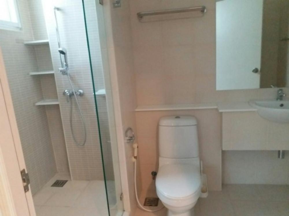 For RentHouseSukhumvit, Asoke, Thonglor : Twin house in Ekkamai22 for rent with swimming pool.