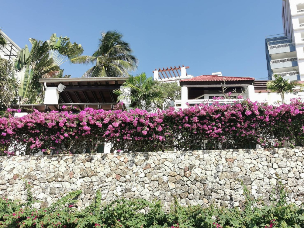 ขายคอนโดพัทยา บางแสน ชลบุรี สัตหีบ : Baan Rimpha Pattaya Duplex 3bed 3bath by the beach 311sqm. Sale/Rent 65,000,000 Am: 0656199198