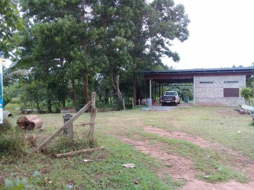 For SaleLandChumphon : Beautiful land for sale, 6 rai 3 ngan 25 square wah, suitable for housing, agricultural gardening, fish pond, coconut plantation.
