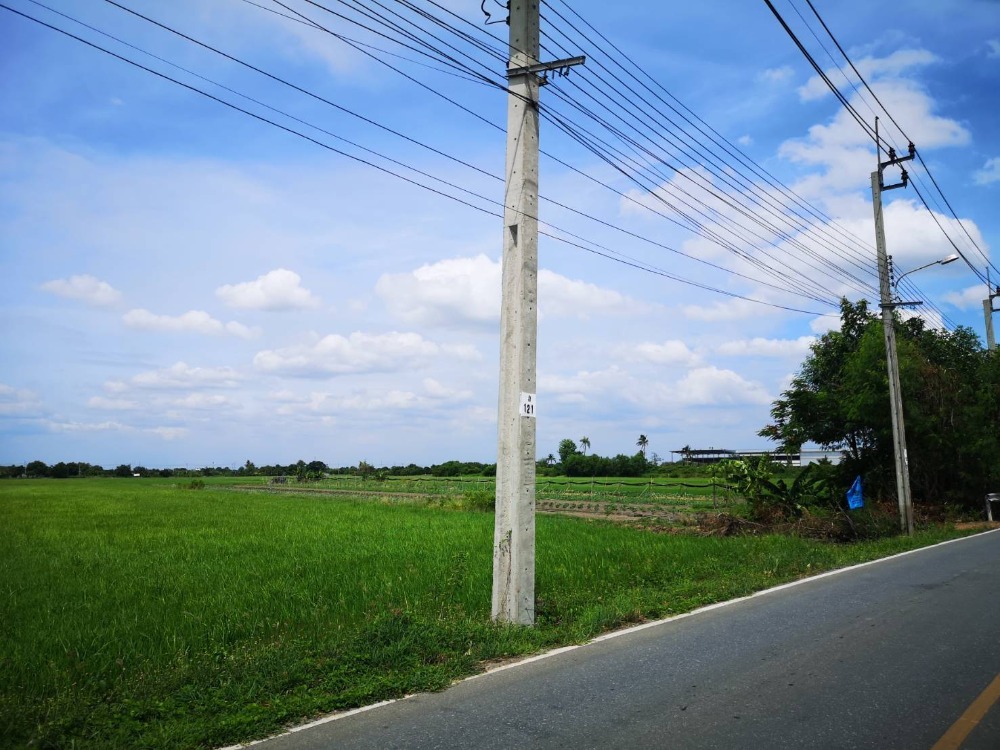For SaleLandNonthaburi, Bang Yai, Bangbuathong : Land 20-1-12.5 rai along Khlong Yong, Bang Yai, Nonthaburi, next to the public road, Salaya, Phutthamonthon.