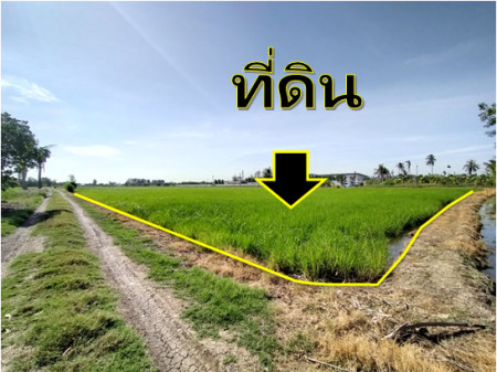 ขายที่ดินนนทบุรี บางใหญ่ บางบัวทอง : ขาย ที่ดิน ไทรน้อย คลองขุนศรี  8-1-50 ไร่ เหมาะทำโรงงาน โกดัง คลังสินค้า