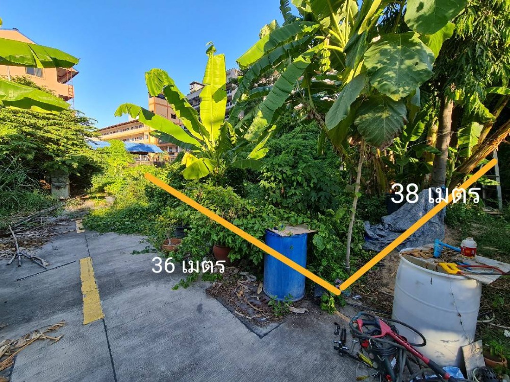 ขายที่ดินพัทยา บางแสน ชลบุรี สัตหีบ : ขาย/เช่า ที่ดินพัทยากลาง 243 ตร.ว. ใกล้ทะเล สร้างอพาทเมนท์ได้