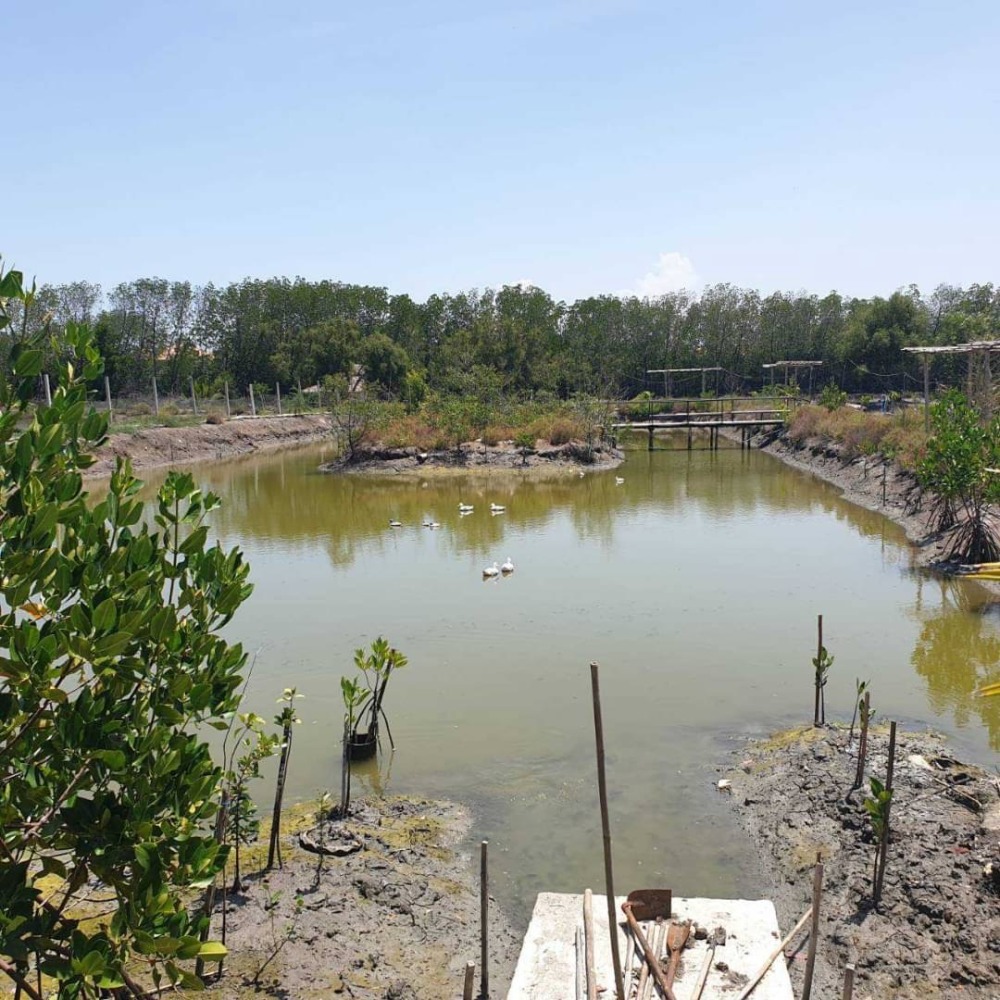 ขายที่ดินพระราม 2 บางขุนเทียน : ขายที่ดิน พร้อมบ้านเดี่ยว  2 ชั้น (ปัจจุบันเป็นร้านอาหาร)  ถ.เทียนทะเล  ท่าข้าม  บางขุนเทียน  กรุงเทพ