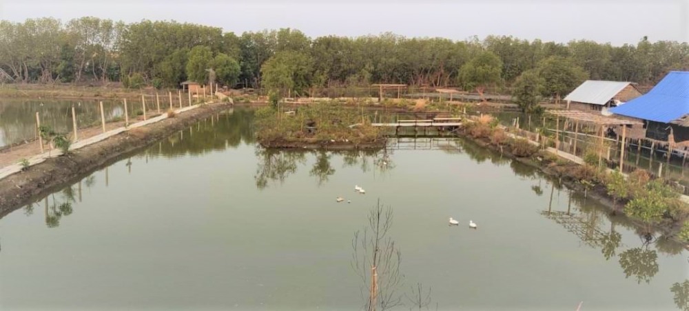 ขายที่ดินพระราม 2 บางขุนเทียน : ขายที่ดิน พร้อมบ้านเดี่ยว  2 ชั้น (ปัจจุบันเป็นร้านอาหาร)  ถ.เทียนทะเล  ท่าข้าม  บางขุนเทียน  กรุงเทพ