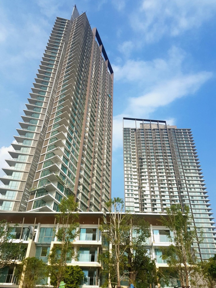 ให้เช่าคอนโดบางซื่อ วงศ์สว่าง เตาปูน : 🔥ให้เช่าด่วน🔥333 ริเวอร์ไซด์ ตกแต่งครบพร้อมอยู่ วิวแม่น้ำ ย่านบางโพ ติดรถไฟฟ้า 2สถานี