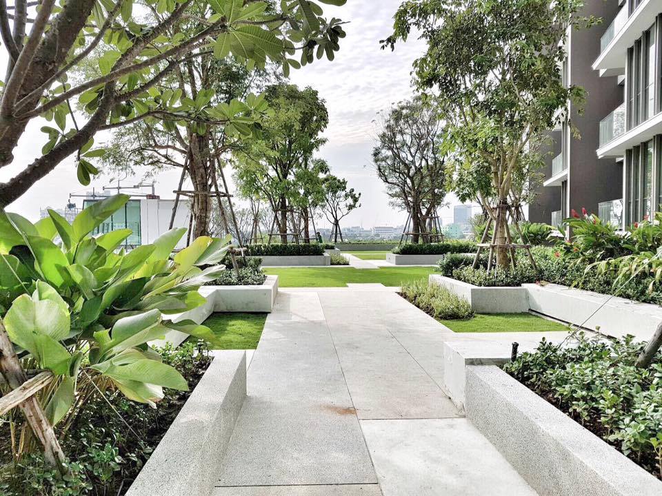 ให้เช่าคอนโดบางซื่อ วงศ์สว่าง เตาปูน : 🔥ให้เช่าด่วน🔥333 ริเวอร์ไซด์ ตกแต่งครบพร้อมอยู่ วิวแม่น้ำ ย่านบางโพ ติดรถไฟฟ้า 2สถานี