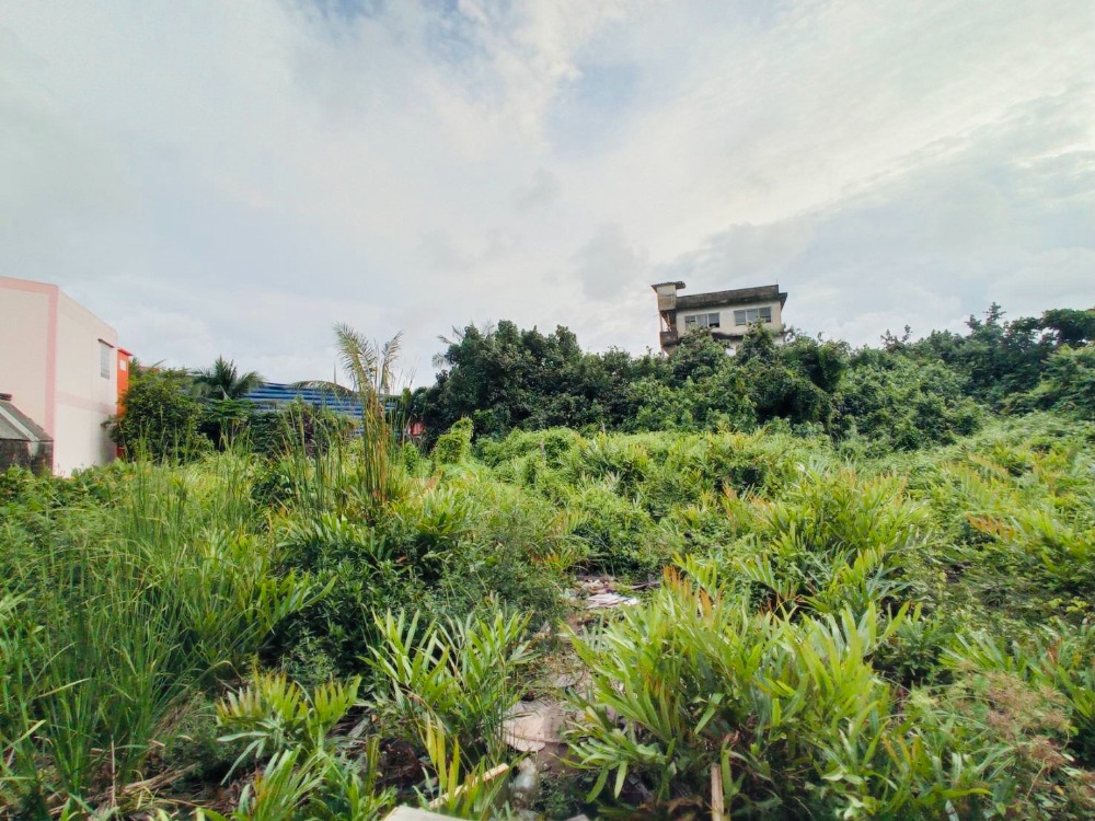 For SaleLandRathburana, Suksawat : Urgent sale!!! Land is inexpensive!!! [Corner plot] 50 sq.w., Suksawat 70 location, near the community