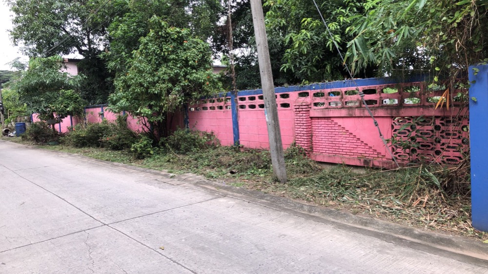 ขายที่ดินสระบุรี : ขายที่ดิน อ.แก่งคอย จ.สระบุรี 399ตารางวา