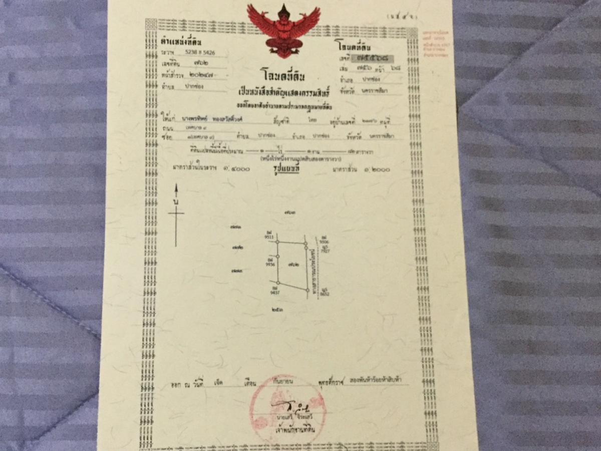 ขายที่ดินปากช่อง เขาใหญ่ : ขายที่ดินโครงการจัดสรรอ.ปากช่องใกล้เขาใหญ่