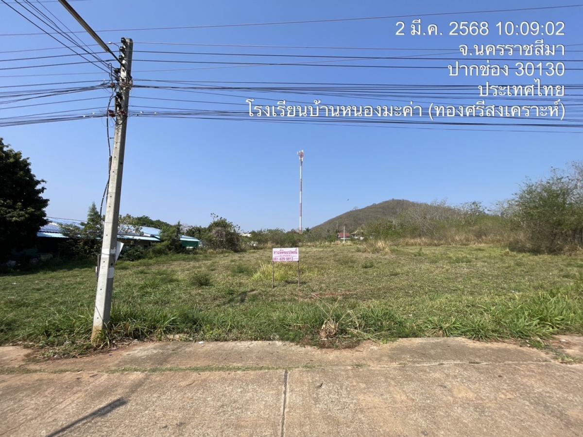 ขายที่ดินปากช่อง เขาใหญ่ : ขายที่ดินโครงการจัดสรรอ.ปากช่องใกล้เขาใหญ่