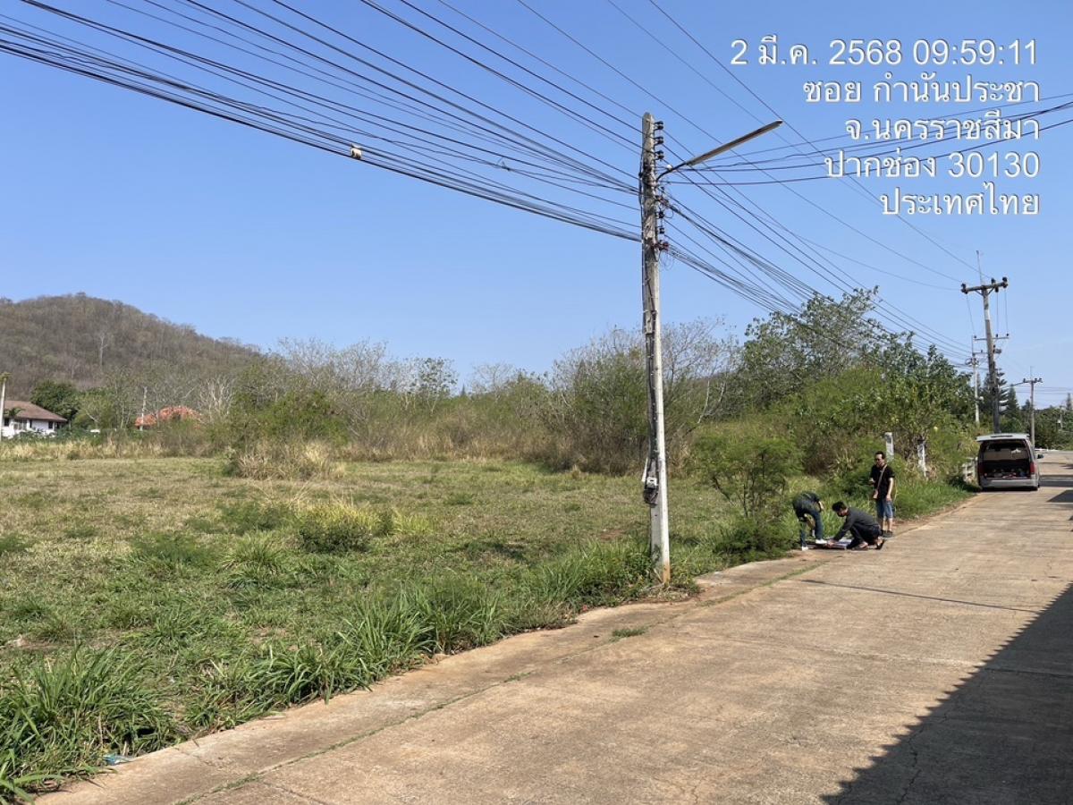 ขายที่ดินปากช่อง เขาใหญ่ : ขายที่ดินโครงการจัดสรรอ.ปากช่องใกล้เขาใหญ่