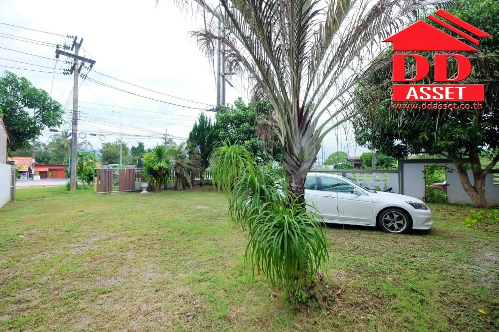 For SaleLandNakhon Si Thammarat : Land for sale, beautiful plot, next to the road reclamation, with a house fence, near Khanom beach, City Pillar Shrine, near Chedi Ai Khai Temple, Khanom District, Nakhon Si Thammarat