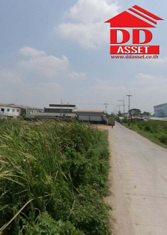 ขายที่ดินปทุมธานี รังสิต ธรรมศาสตร์ : ขายที่ดินเปล่า ลำลูกกาคลอง4 ถนนไสวประชาราษฎร์ ซอยสไวประชาราษฎร์19 เนื้อที่ 2 ไร่ ขายวาละ 20,000 บาท