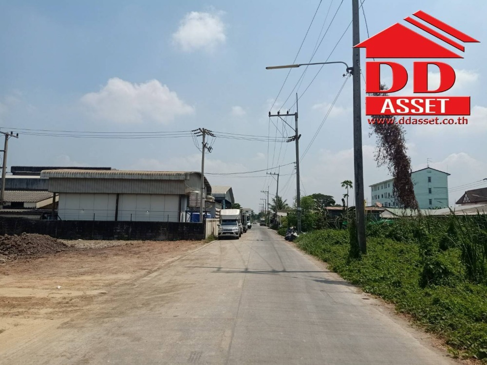 ขายที่ดินปทุมธานี รังสิต ธรรมศาสตร์ : ขายที่ดินเปล่า ลำลูกกาคลอง4 ถนนไสวประชาราษฎร์ ซอยสไวประชาราษฎร์19 เนื้อที่ 2 ไร่ ขายวาละ 20,000 บาท