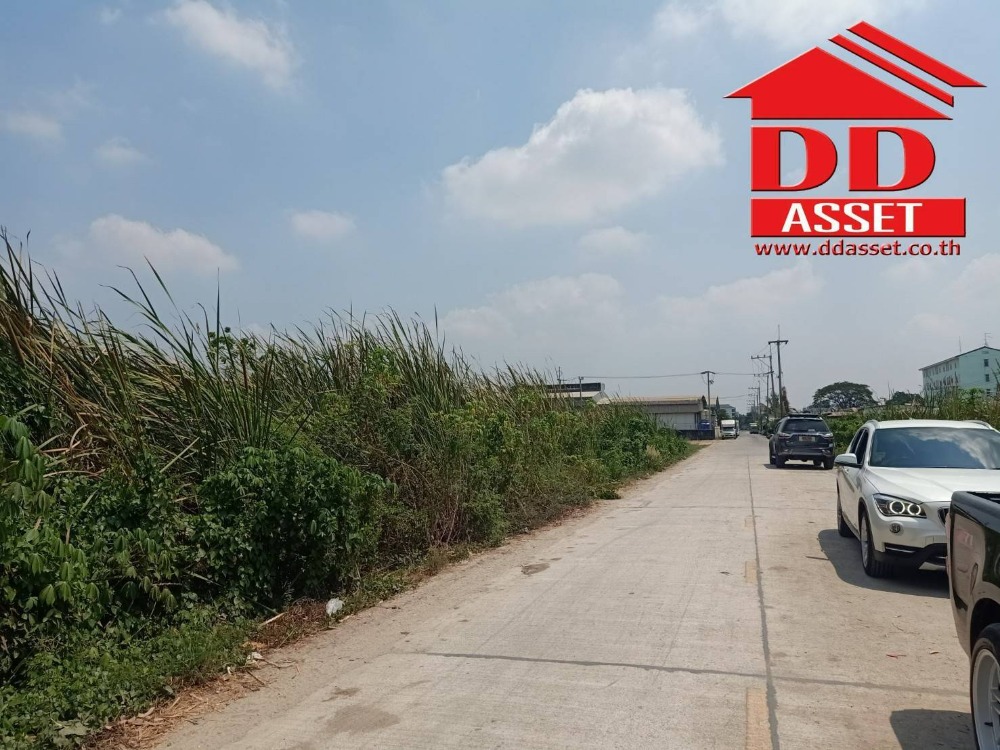 ขายที่ดินปทุมธานี รังสิต ธรรมศาสตร์ : ขายที่ดินเปล่า ลำลูกกาคลอง4 ถนนไสวประชาราษฎร์ ซอยสไวประชาราษฎร์19 เนื้อที่ 2 ไร่ ขายวาละ 20,000 บาท