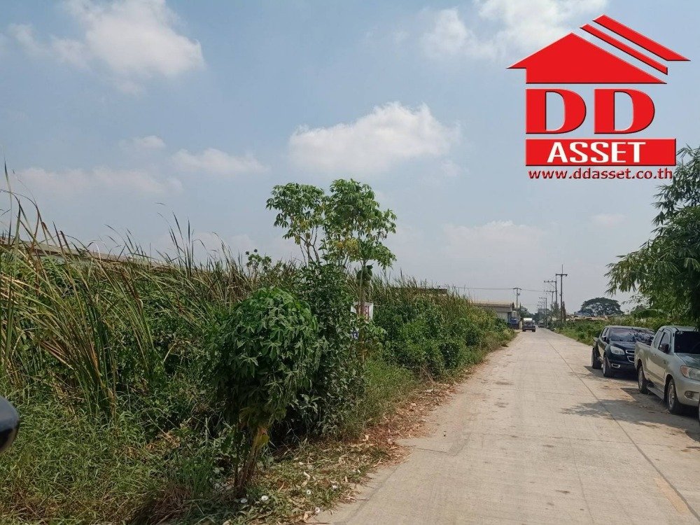 ขายที่ดินปทุมธานี รังสิต ธรรมศาสตร์ : ขายที่ดินเปล่า ลำลูกกาคลอง4 ถนนไสวประชาราษฎร์ ซอยสไวประชาราษฎร์19 เนื้อที่ 2 ไร่ ขายวาละ 20,000 บาท