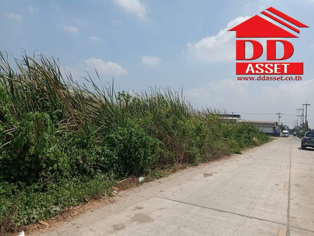 ขายที่ดินปทุมธานี รังสิต ธรรมศาสตร์ : ขายที่ดินเปล่า ลำลูกกาคลอง4 ถนนไสวประชาราษฎร์ ซอยสไวประชาราษฎร์19 เนื้อที่ 2 ไร่ ขายวาละ 20,000 บาท