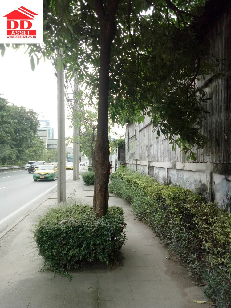 For SaleLandBangna, Bearing, Lasalle : Land for sale on Bangna Road, opposite Central Bangna Km.4