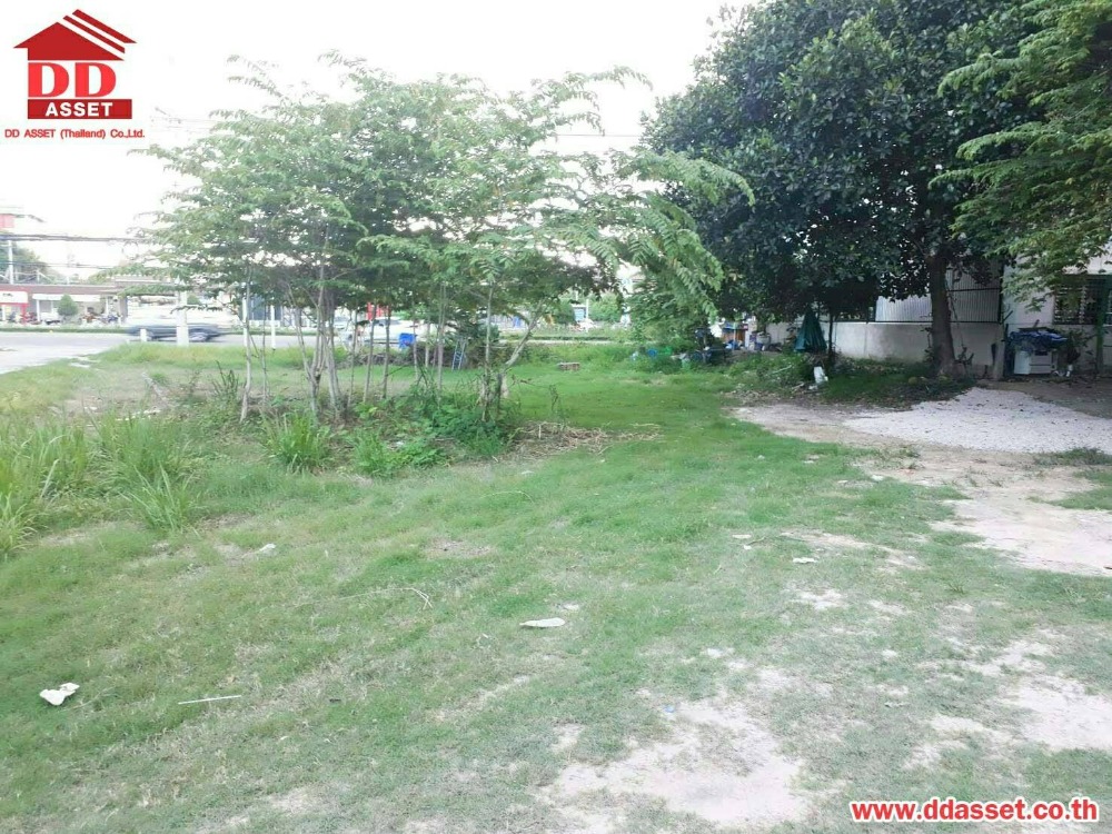 ขายที่ดินหัวหิน ประจวบคีรีขันธ์ : ขาย ที่ดินเปล่าหัวหิน ติดถนนเพชรเกษม ฝั่งชายหาด