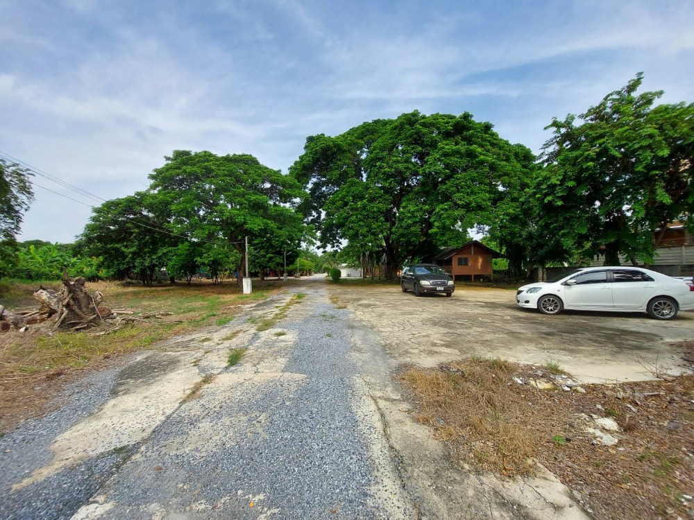 For SaleLandPathum Thani,Rangsit, Thammasat : Land for sale, Lam Luk Ka 1 area, near Thusemee Golf Course, area 4-3-7 rai (filled), plus 2 houses