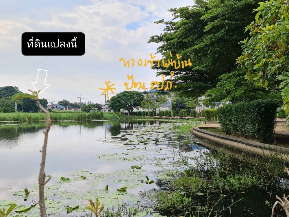 For SaleLandPathum Thani,Rangsit, Thammasat : Land, corner plot, next to the lake, Soi Thichachon 3/1, Khlong Luang 24, Krisdanakorn Village 19, Phaholyothin Rd.