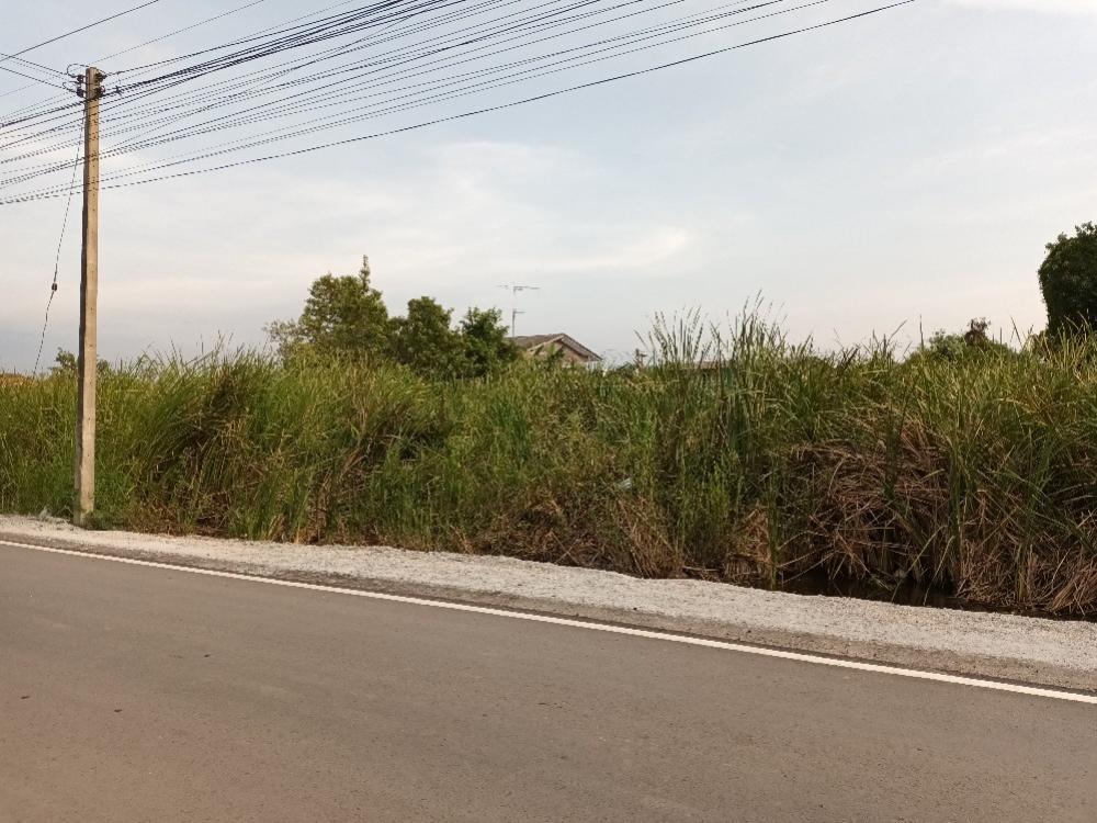 ขายที่ดินฉะเชิงเทรา : ขาย ที่ดินถมแล้ว ฉะเชิงเทรา ถนนสิริโสธร 200 ตร.วา และ 1 ไร่ ฟรีโอน สี่เหลี่ยมสวย